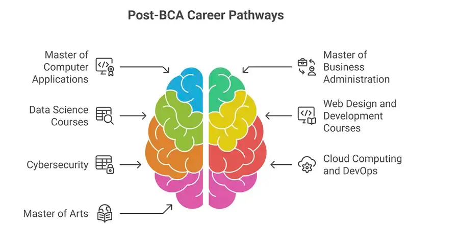 Career Options After BCA: Jobs, Skills and Higher Education