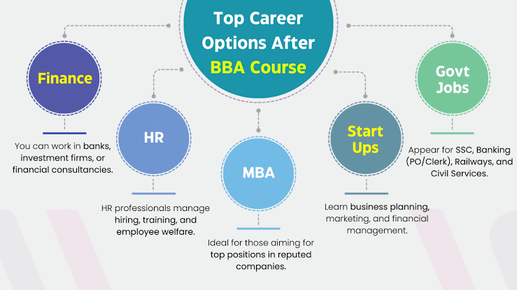 Career Options After BBA: Jobs, Skills and Higher Education